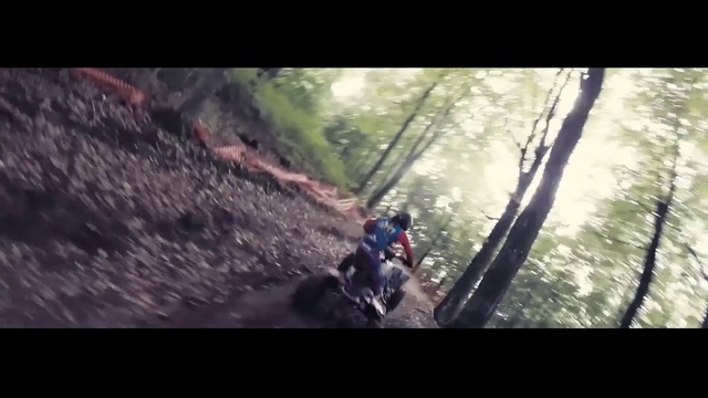Video Reference N0: Adventure, Extreme sport, Wilderness, Recreation, Vehicle, Tree, Downhill mountain biking, Freeride, Geological phenomenon, Forest, Person