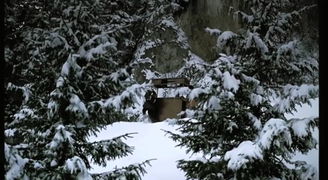 Video Reference N0: snow, winter, freezing, tree, frost, branch, fir, spruce, geological phenomenon, biome
