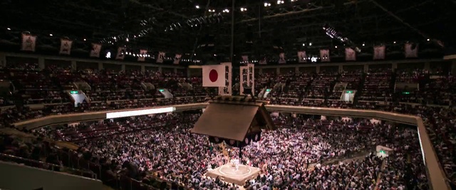 Video Reference N3: Sport venue, Arena, Audience, Stadium, Fan, Auditorium, Crowd, Building, Performing arts center, Competition event