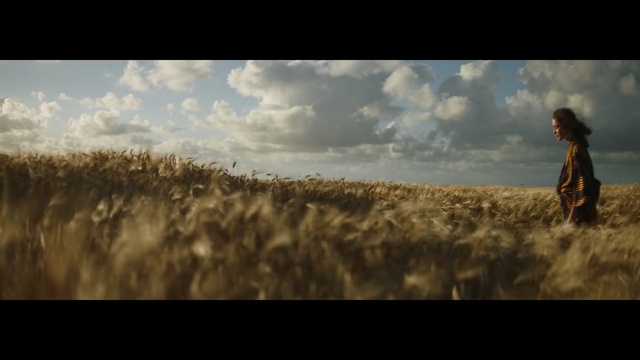 Video Reference N0: sky, field, grass family, wheat, crop, cloud, atmosphere, harvest, grass, screenshot