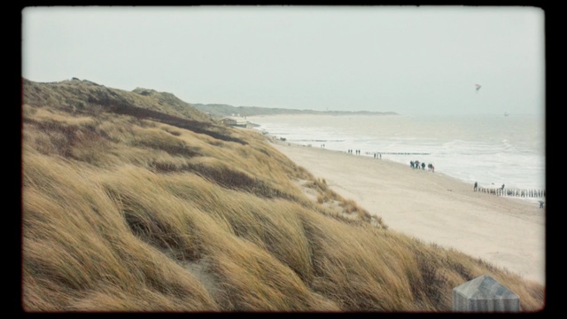 Video Reference N6: sea, shore, coast, beach, sky, horizon, ocean, coastal and oceanic landforms, sand, wood
