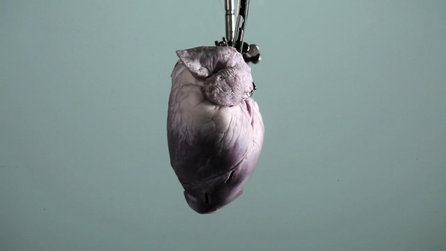 Video Reference N10: heart, art