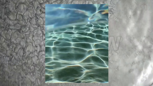 Video Reference N0: Water, Aqua, Organism, Glass, Art, Pattern, Rock
