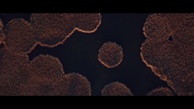 Video Reference N3: Brown, Water, Organism, Font, Sky, Soil, Photography, Screenshot, World, Animation