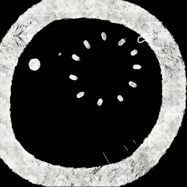 Video Reference N6: black and white, moon, monochrome photography, circle, monochrome, organism, sphere, astronomical object, font, sky