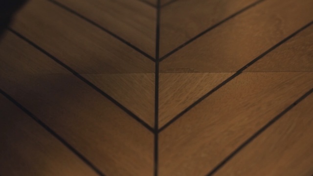 Video Reference N0: Wood, Brown, Hardwood, Line, Tile, Wood stain, Flooring, Leaf, Floor, Pattern
