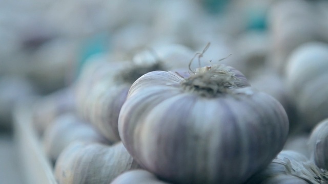 Video Reference N2: Garlic, Vegetable, Plant, Food, Close-up, Organism, Onion, Macro photography, Photography, Allium