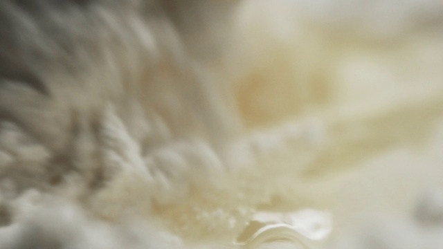 Video Reference N1: White, Fur, Close-up, Textile, Beige, Wool