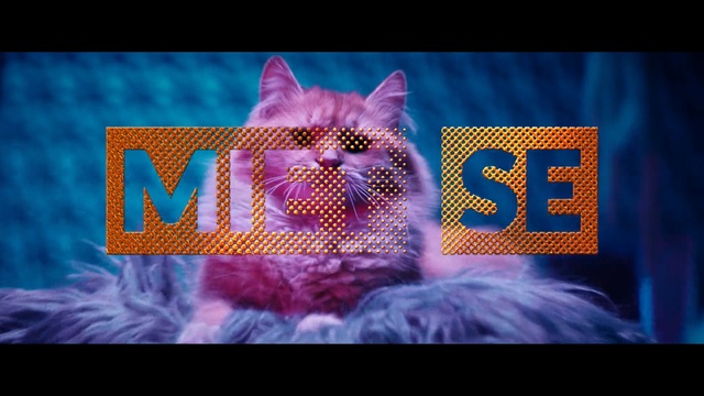 Video Reference N11: Text, Violet, Purple, Font, Cat, Organism, Graphic design, Felidae, Graphics, Magenta