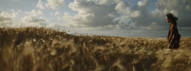 Video Reference N0: sky, field, wheat, grass family, crop, cloud, rye, grass, food grain, harvest