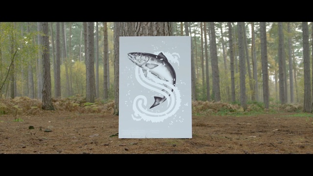 Video Reference N4: tree, forest, grass, woodland, font, advertising, Person