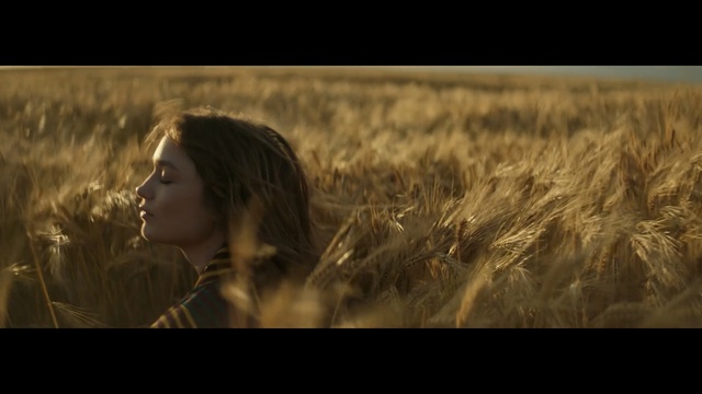 Video Reference N2: grass family, wheat, grass, screenshot, field, sunlight, girl, prairie, harvest, sky, Person