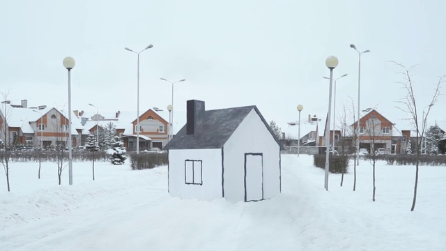 Video Reference N5: Snow, Winter, Home, Blizzard, Residential area, Freezing, House, Winter storm, Tree, Suburb