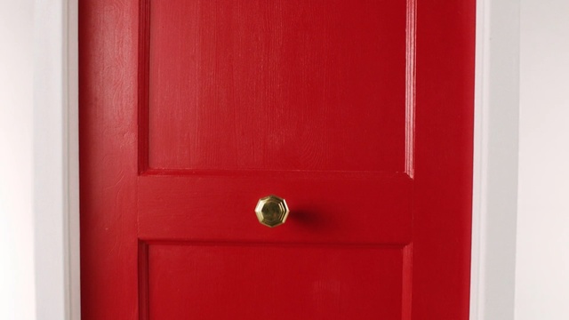 Video Reference N0: red, door