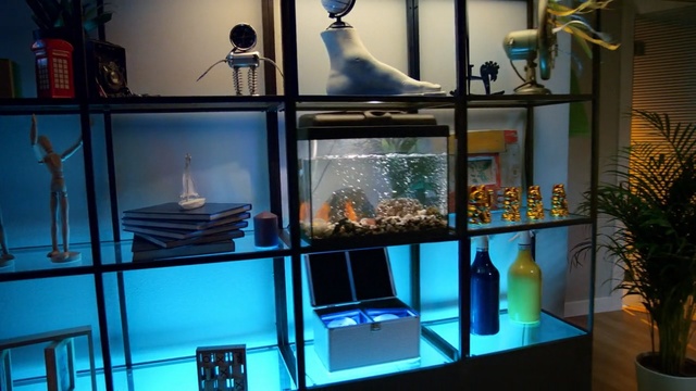 Video Reference N1: aquarium, glass