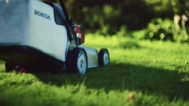 Video Reference N4: Lawn, Grass, Vehicle, Lawn mower, Mower, Mode of transport, Automotive design, Car, Automotive wheel system, Outdoor power equipment