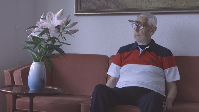 Video Reference N2: sitting, furniture, plant, table, flower, Person