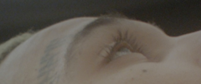 Video Reference N1: Eyebrow, Nose, Forehead, Head, Eye, Organ, Eyelash, Ear, Iris
