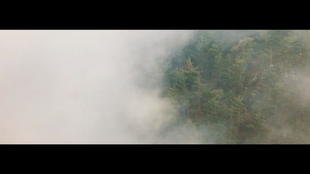 Video Reference N4: Mist, Nature, Atmospheric phenomenon, Sky, Fog, Haze, Atmosphere, Cloud, Morning, Smoke