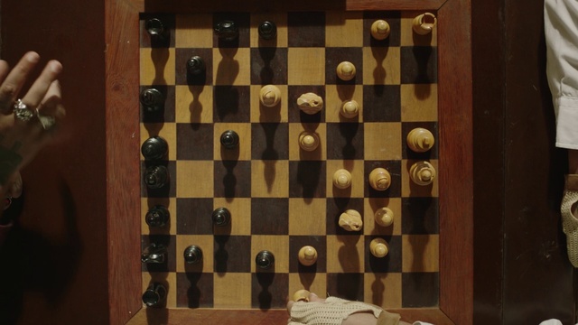 Video Reference N5: Games, Indoor games and sports, Board game, Chess, Chessboard, Recreation, Sports equipment, Wood, Play, Tabletop game, Person, Indoor, Looking, Table, Wooden, Black, White, Man, Door, Room, Mirror, Standing, Large, Holding, Board, Kitchen, Plate, Group