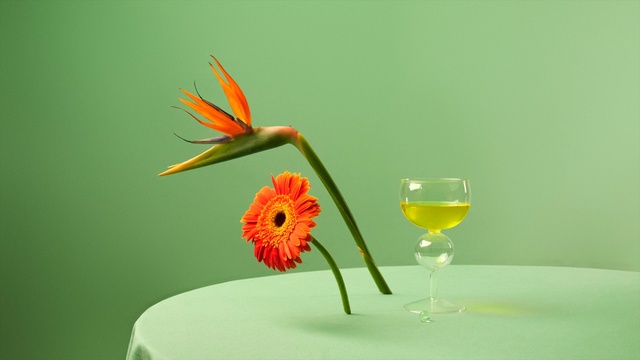 Video Reference N6: flower, still life photography, stemware, petal, wine glass, glass, still life, plant stem, Person