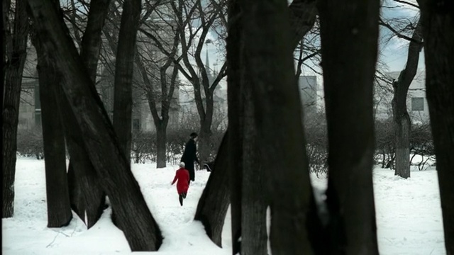 Video Reference N2: snow, winter, tree, nature, woody plant, freezing, forest, woodland, ice, branch, Person