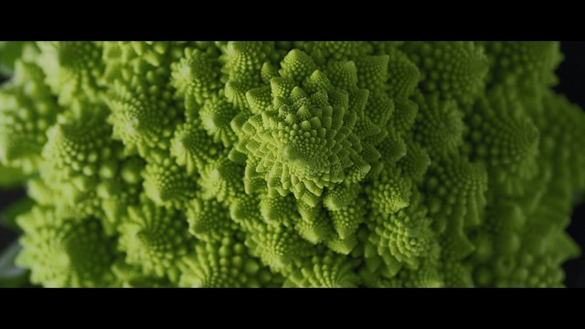 Video Reference N0: Green, Leaf, Plant, Leaf vegetable, Flower, Vascular plant, Broccoflower