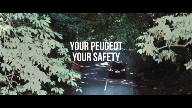 Video Reference N1: nature, tree, woody plant, text, flora, leaf, car, screenshot, forest, font