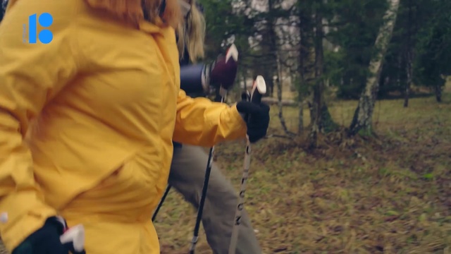 Video Reference N1: Forest, Soil, Recreation, Outerwear, Woodland, Jacket, Walking, Person