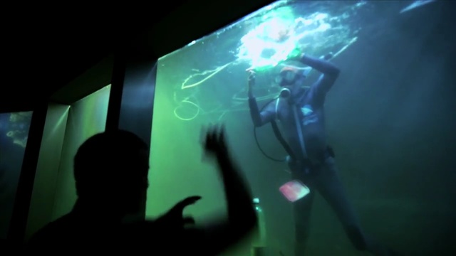 Video Reference N6: Green, Organism, Underwater, Technology, Underwater diving, Marine biology, Performance, Art
