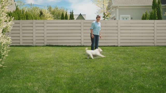 Video Reference N0: lawn, grass, yard, fence, backyard, plant, obedience trial, obedience training, home fencing, dog like mammal, Person