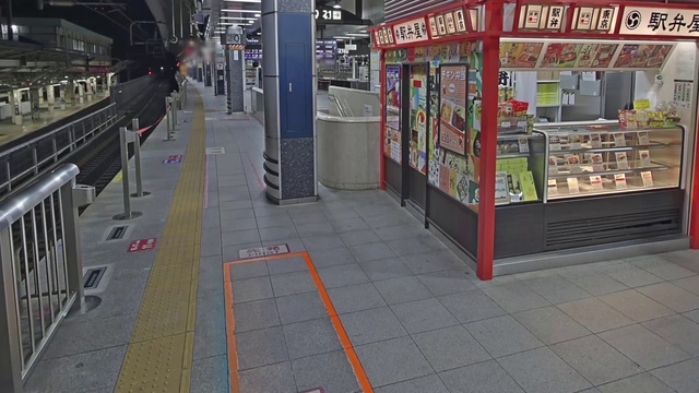 Video Reference N1: Retail, Supermarket, Building, Convenience store, Shopping mall, Aisle, Sidewalk, Floor, City