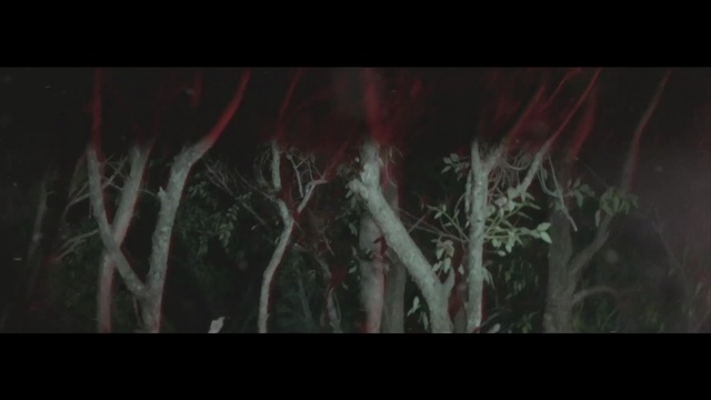 Video Reference N3: Nature, Black, Darkness, Red, Tree, Leaf, Branch, Art, Organism, Fiction