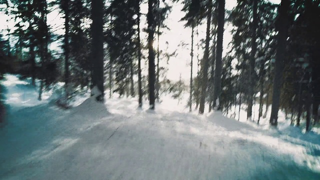 Video Reference N0: Snow, Winter, Tree, Nature, Natural environment, Forest, Atmospheric phenomenon, Biome, Freezing, Woody plant