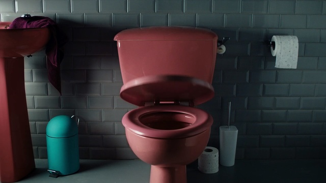 Video Reference N0: toilet, red, pink, purple, room, plumbing fixture, toilet seat, product, bathroom, public toilet