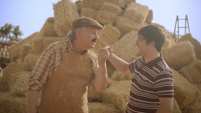 Video Reference N11: grass family, girl, straw, hay, fun, sand, landscape, commodity