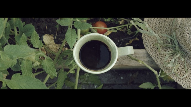 Video Reference N7: Green, Cup, Leaf, Coffee cup, Plant, Grass, Soil, Cup, Photography, Dandelion coffee