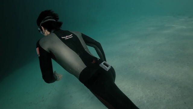 Video Reference N1: water, underwater diving, underwater, wetsuit, freediving, sea, diving, personal protective equipment, scuba diving, recreation