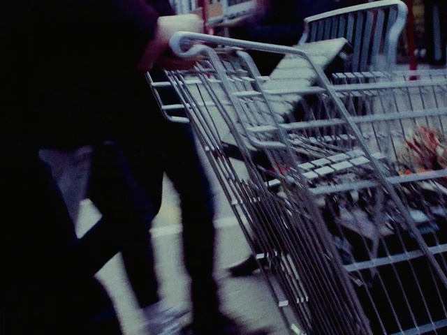 Video Reference N0: Cage, Shopping cart, Person