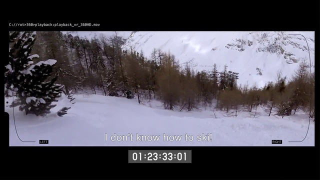Video Reference N9: Snow, Winter, Tree, Geological phenomenon, Freezing, Font, Photography, Sky, Adaptation, Screenshot