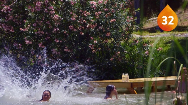 Video Reference N2: Water, Leisure, Tree, Plant, Fun, Swimming pool, Shrub, Recreation, Landscape, Vacation