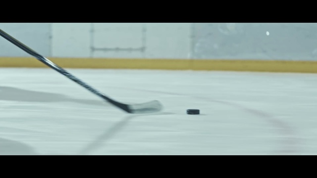 Video Reference N2: Ice hockey, Hockey, Hockey puck, Floor, Bandy, Team sport, Stick and Ball Games, Sports, Floor hockey, Sports equipment