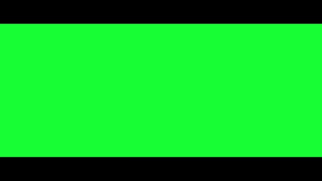 Video Reference N17: Green, Black, Blue, Leaf, Yellow, Red, Text, Font, Grass, Light