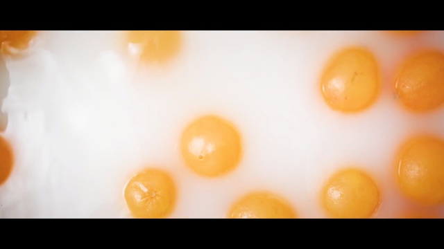 Video Reference N4: egg yolk, orange, kumquat, vegetarian food