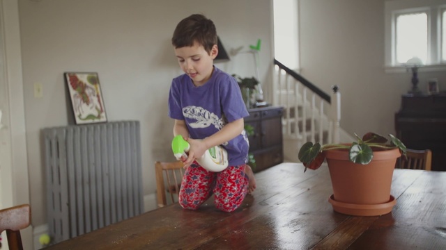 Video Reference N4: Child, Toddler, Play, Room, Houseplant, Floor, Plant, Flowerpot
