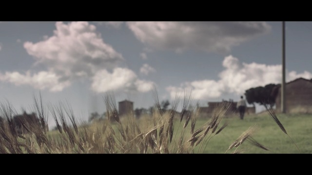 Video Reference N2: sky, ecosystem, cloud, grassland, grass, prairie, atmosphere, field, tree, grass family, Person