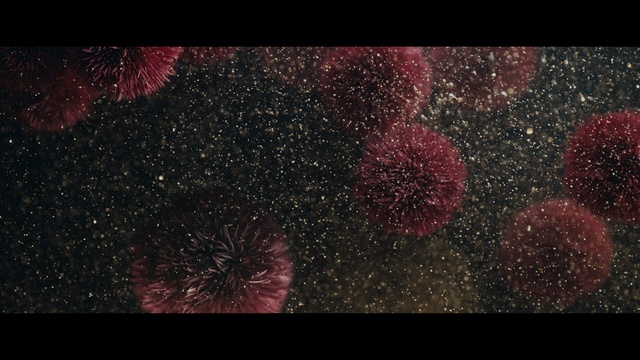 Video Reference N3: Fireworks, Organism, Sky, Midnight, Space, Darkness, Night, New year, Nebula