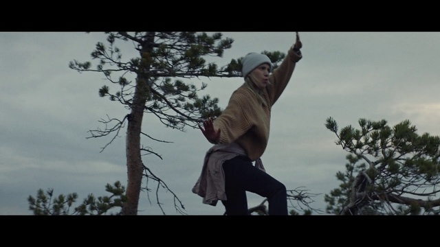 Video Reference N1: Tree, Photography, Screenshot, Recreation, Extreme sport