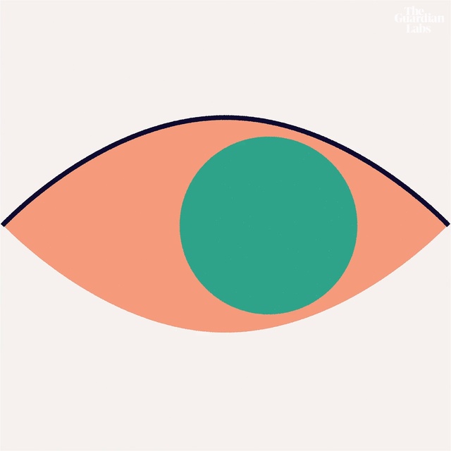 Video Reference N1: Orange, Eye, Circle, Logo, Oval, Graphics, Illustration