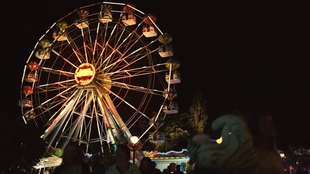 Video Reference N9: Ferris wheel, Amusement ride, Amusement park, Fair, Tourist attraction, Wheel, Night, Recreation, Fun, Festival